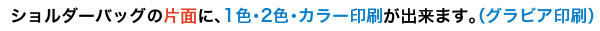 片面に1色・2色・カラー印刷が出来ます