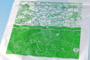 セミオーダーオリジナルレジ袋35号 ■ 本体色：半透明 ■ 印刷色：緑 ■ 使用目的：ショップ